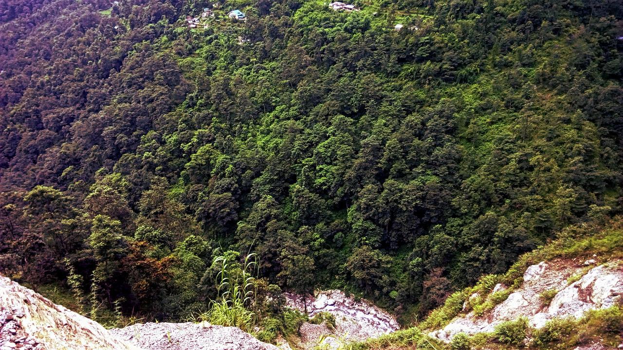 Enchanted Forest Farmstay Gangtok Εξωτερικό φωτογραφία