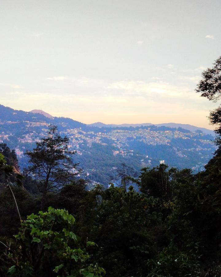 Enchanted Forest Farmstay Gangtok Εξωτερικό φωτογραφία