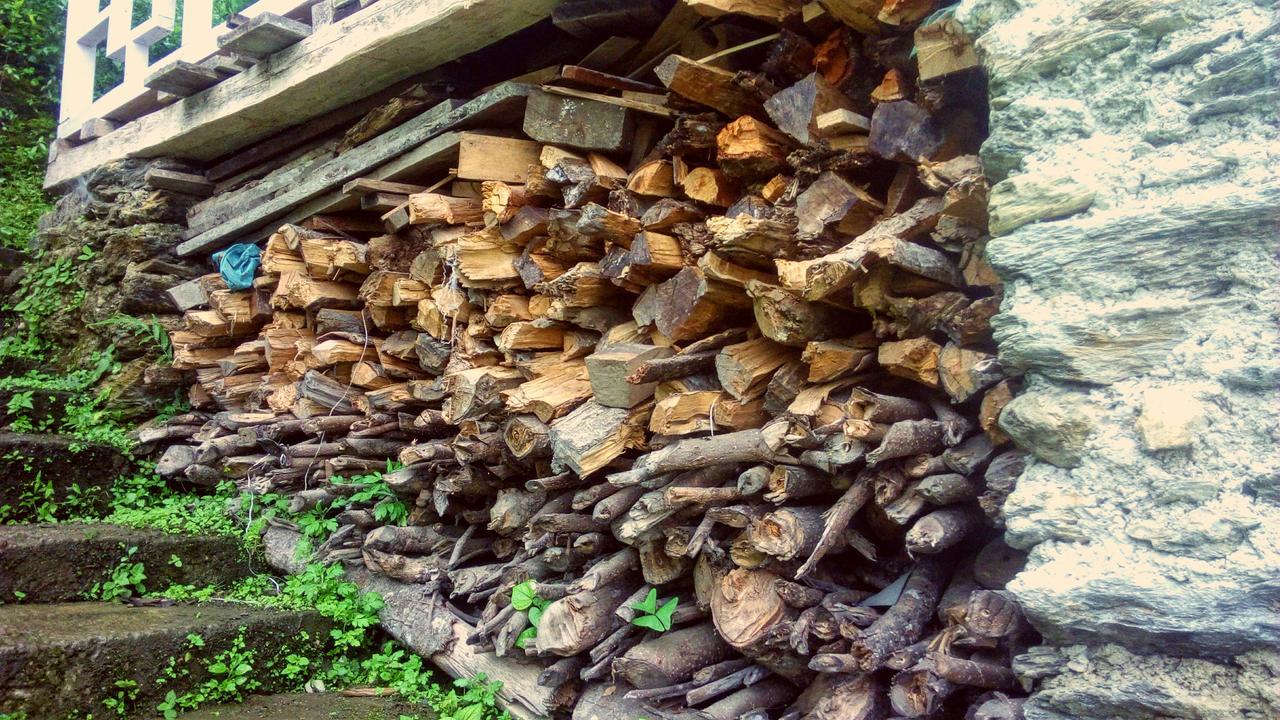 Enchanted Forest Farmstay Gangtok Εξωτερικό φωτογραφία