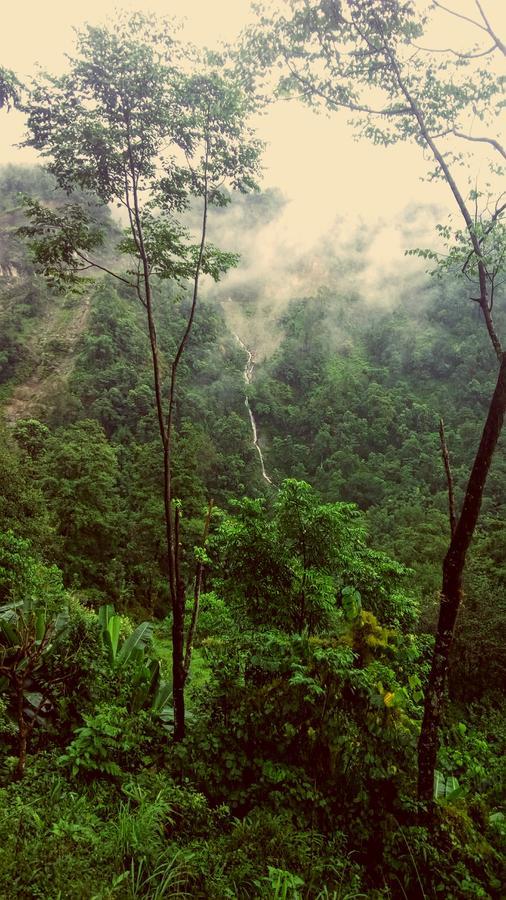 Enchanted Forest Farmstay Gangtok Εξωτερικό φωτογραφία