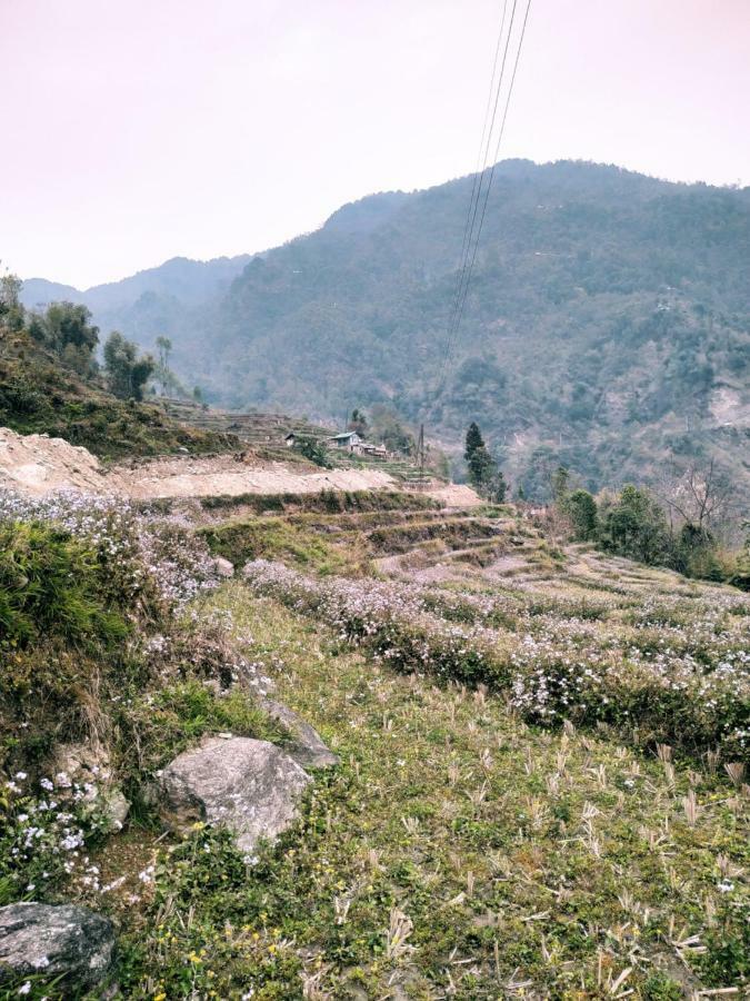 Enchanted Forest Farmstay Gangtok Εξωτερικό φωτογραφία