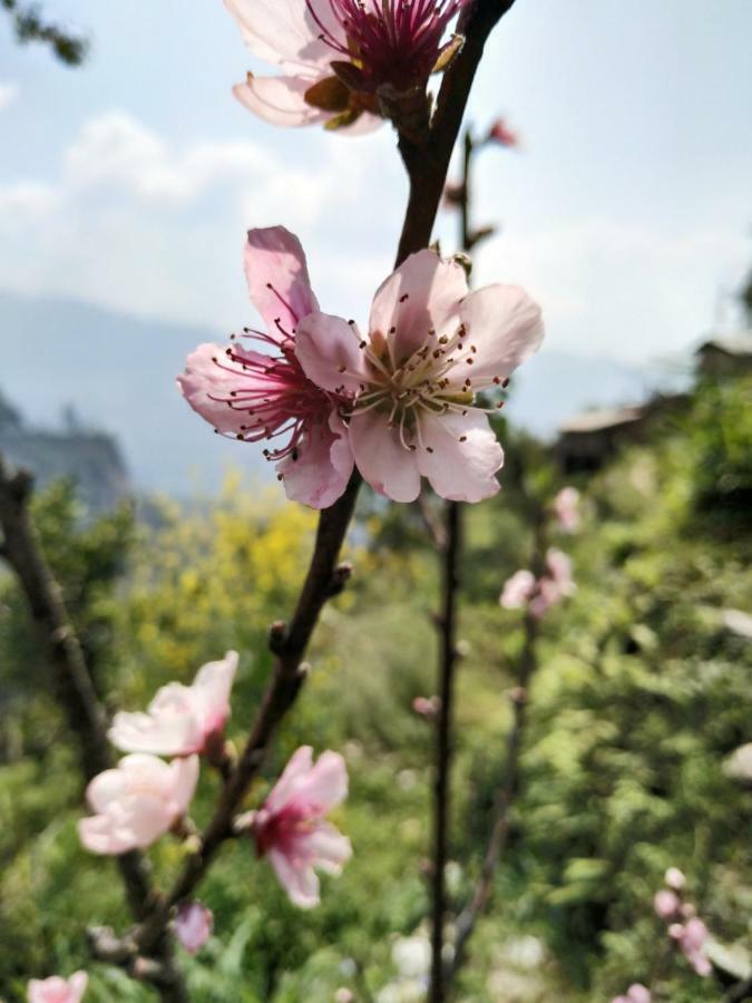 Enchanted Forest Farmstay Gangtok Εξωτερικό φωτογραφία