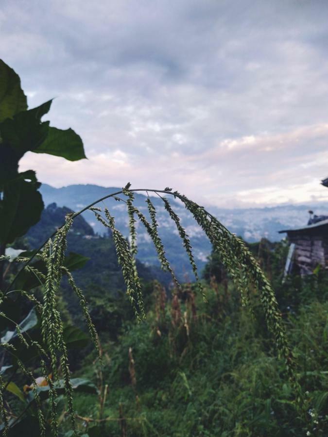 Enchanted Forest Farmstay Gangtok Εξωτερικό φωτογραφία