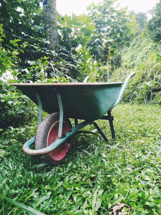 Enchanted Forest Farmstay Gangtok Εξωτερικό φωτογραφία